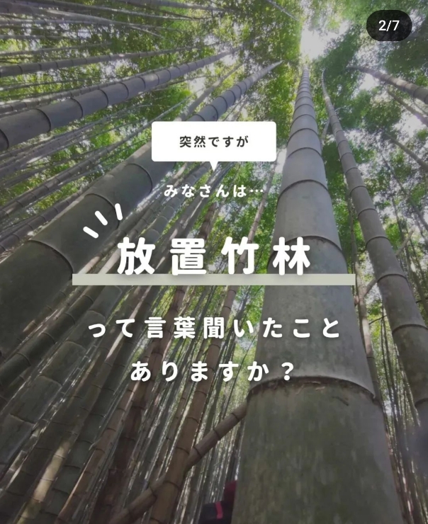 インスタグラム投稿画像２枚目