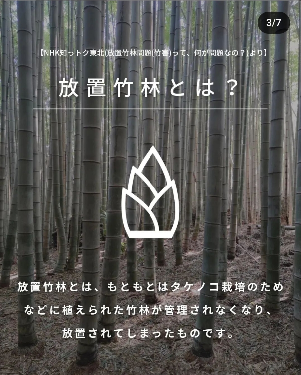 インスタグラム投稿画像３枚目