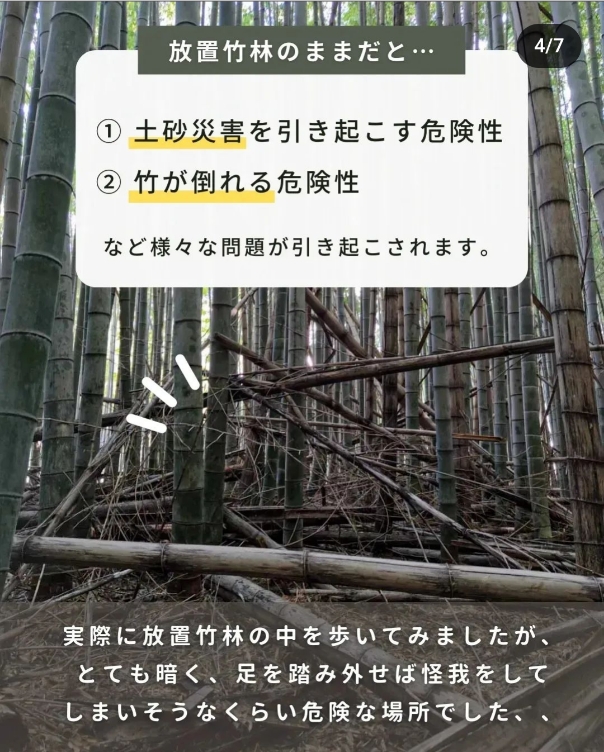 インスタグラム投稿画像４枚目