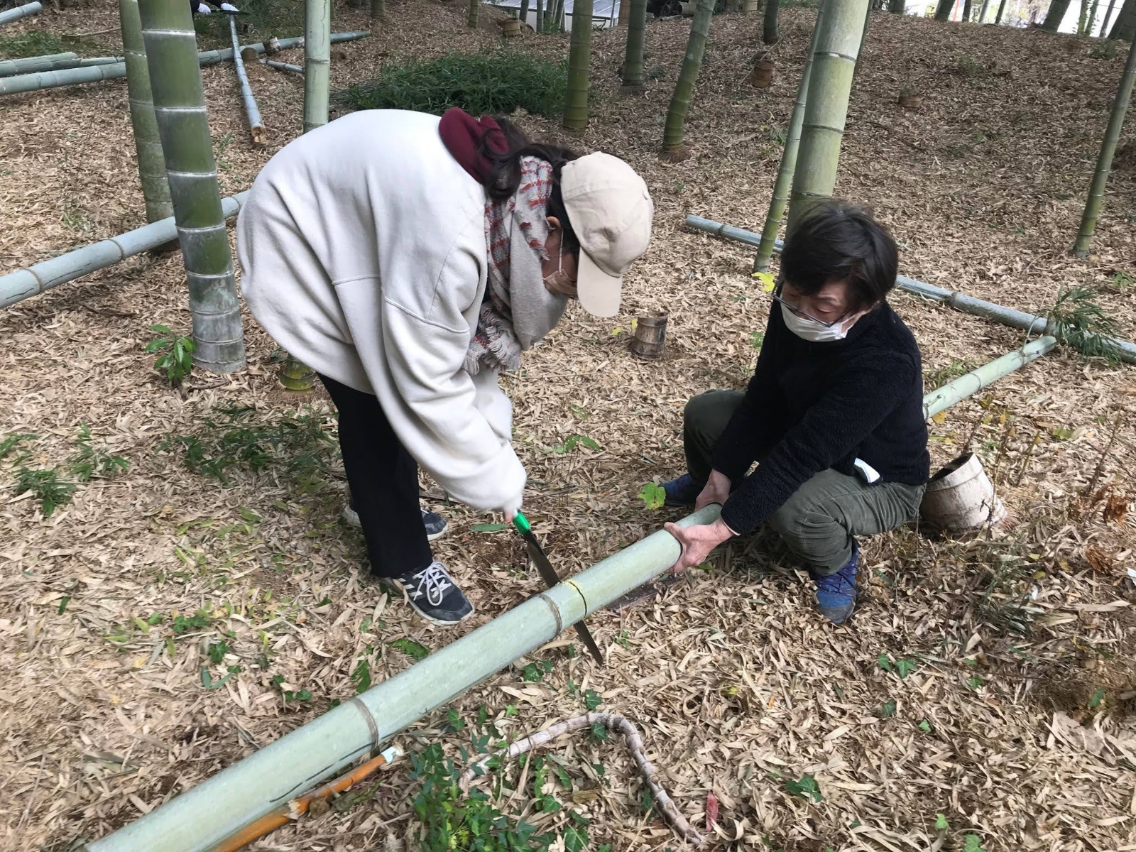 プロジェクトの写真７枚目　作業風景