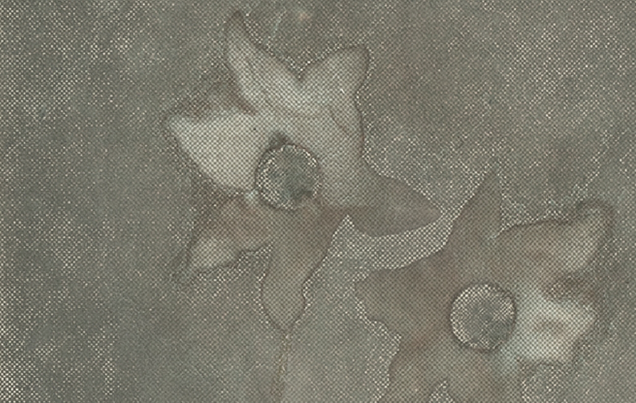 speker　アップ画像2枚目